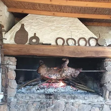 Azienda Agricola S'ispinalba Di Laura Pitzolu Borore