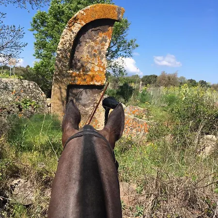 Pensjonat Azienda Agricola S'ispinalba Di Laura Pitzolu
