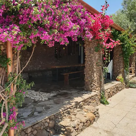 Azienda Agricola S'ispinalba Di Laura Pitzolu Guest house Borore