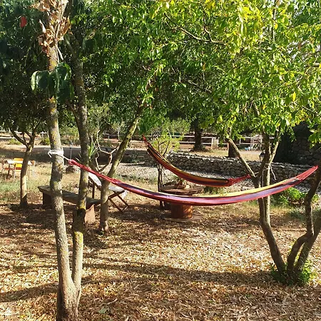 Azienda Agricola S'ispinalba Di Laura Pitzolu Gasthuis 3*