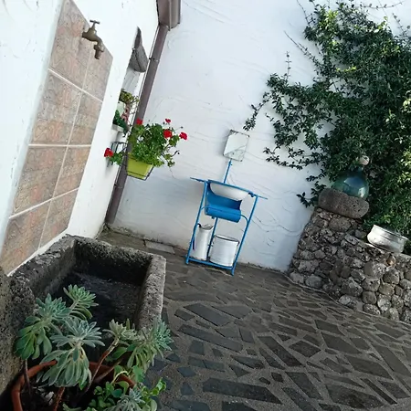 Azienda Agricola S'ispinalba Di Laura Pitzolu Borore