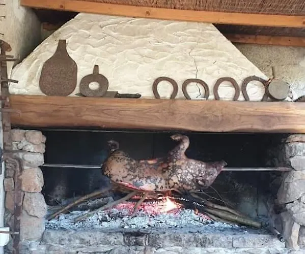 Azienda Agricola S'ispinalba Di Laura Pitzolu Borore